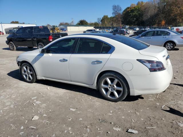 1N4AA5AP3CC861658 - 2012 NISSAN MAXIMA S WHITE photo 2
