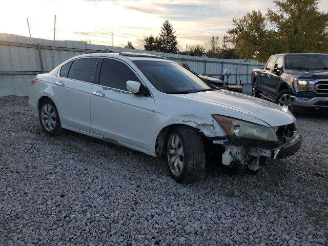 5KBCP3F89AB012286 - 2010 HONDA ACCORD EXL WHITE photo 4