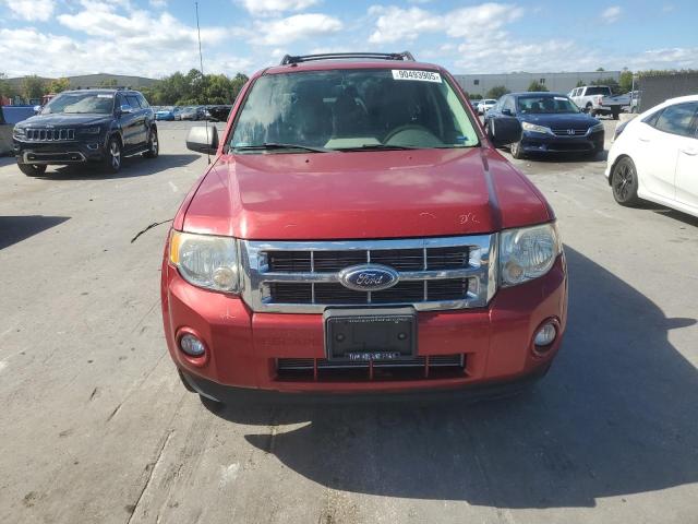 1FMCU0DG7CKC82263 - 2012 FORD ESCAPE XLT 红色 照片 5