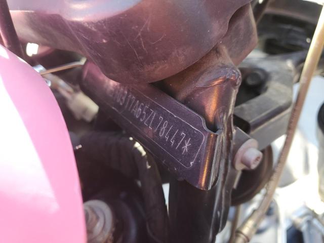 WB10317A65ZL78447 - 2005 BMW R1200 GS PINK photo 9