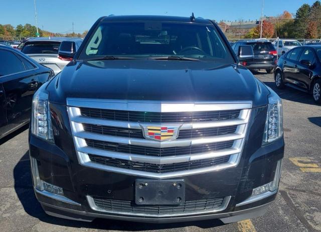 1GYS4HKJ0KR162639 - 2019 CADILLAC ESCALADE ESV LUXURY Սև լուսանկար 12