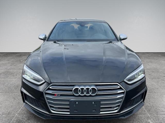 WAUB4CF57KA000718 - 2019 AUDI S5 PREMIUM PLUS Noir photo 12