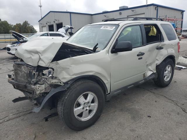 2009 FORD ESCAPE XLT, 