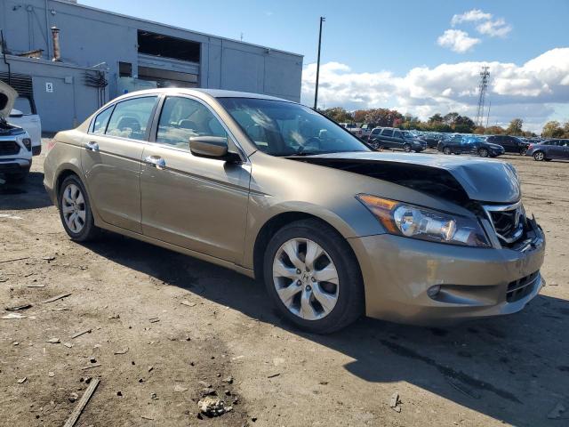 1HGCP36889A037068 - 2009 HONDA ACCORD EXL GOLD photo 4