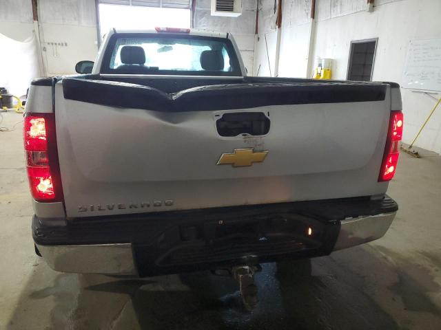 1GCNCPEXXDZ312422 - 2013 CHEVROLET SILVERADO C1500 SILVER photo 6