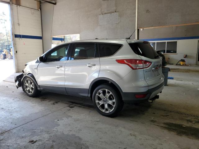 1FMCU9H9XDUA25328 - 2013 FORD ESCAPE SEL 银色 照片 2