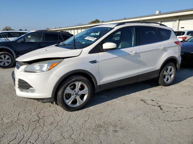 2014 FORD ESCAPE SE, 