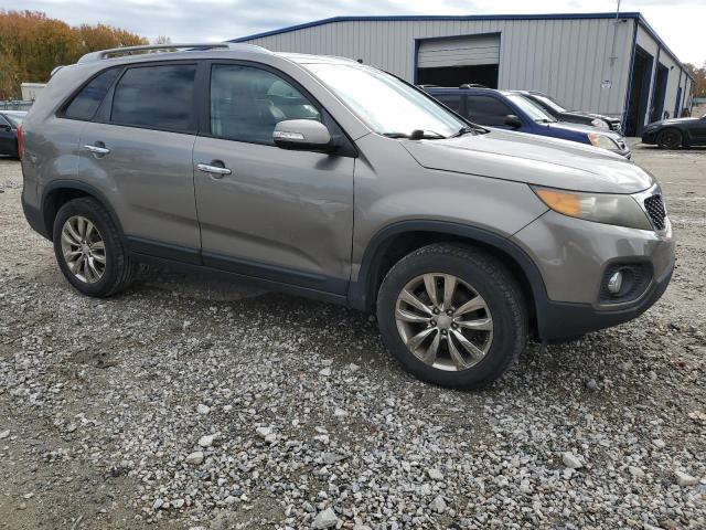 5XYKU3A16BG062876 - 2011 KIA SORENTO EX Boz foto 4