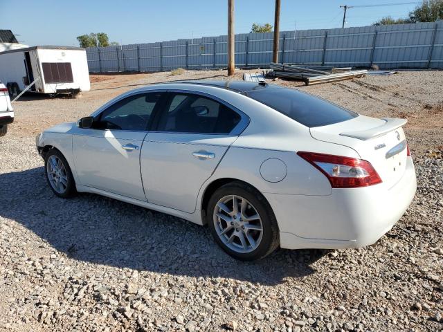 1N4AA5AP5AC862906 - 2010 NISSAN MAXIMA S 白色 照片 2