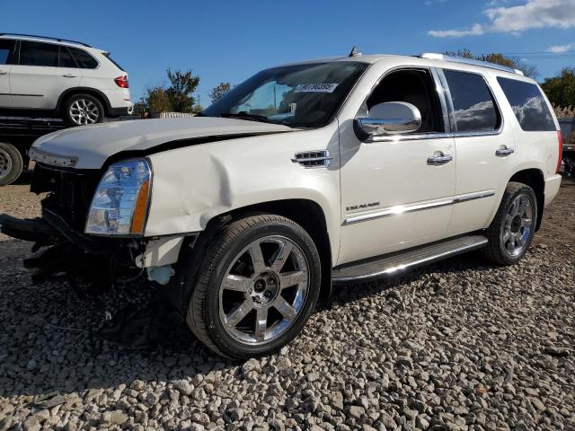 2010 CADILLAC ESCALADE LUXURY, 