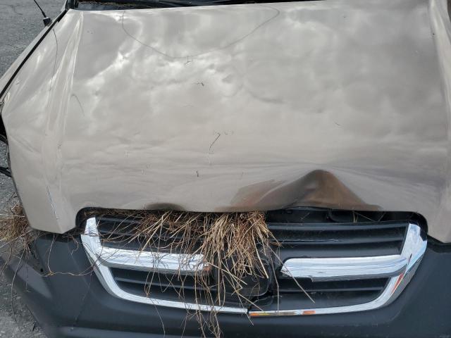 SHSRD78884U240914 - 2004 HONDA CR-V EX TAN photo 11