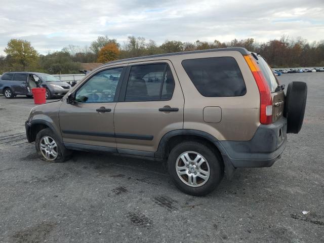 SHSRD78884U240914 - 2004 HONDA CR-V EX TAN photo 2