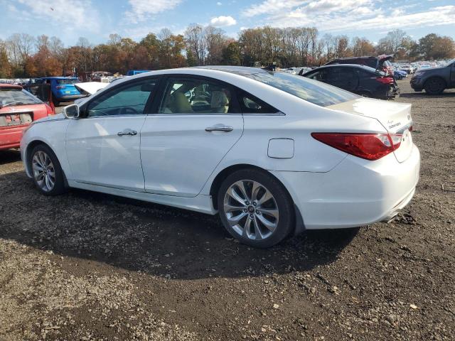 5NPEC4AB3DH565727 - 2013 HYUNDAI SONATA SE 白色 照片 2