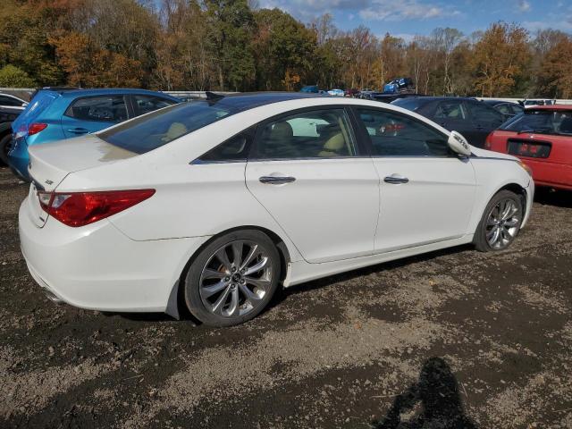 5NPEC4AB3DH565727 - 2013 HYUNDAI SONATA SE 白色 照片 3