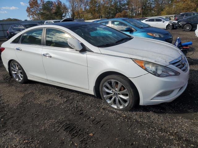 5NPEC4AB3DH565727 - 2013 HYUNDAI SONATA SE 白色 照片 4