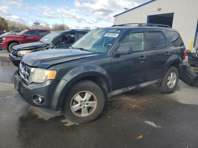 2009 FORD ESCAPE XLT, 