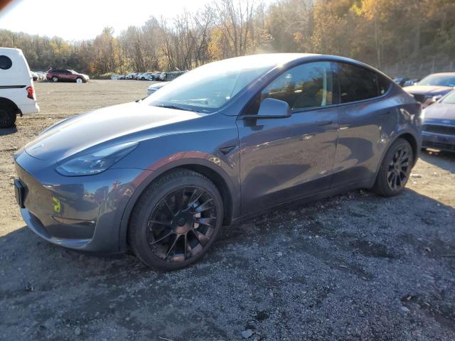 2023 TESLA MODEL Y, 