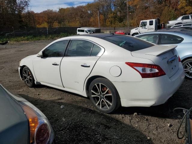 1N4AA51E79C834888 - 2009 NISSAN MAXIMA S WHITE photo 2
