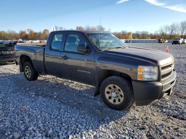 1GCSCPEX8AZ260724 - 2010 CHEVROLET SILVERADO C1500 灰色 照片 4