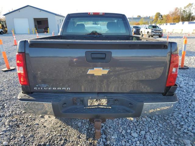 1GCSCPEX8AZ260724 - 2010 CHEVROLET SILVERADO C1500 灰色 照片 6