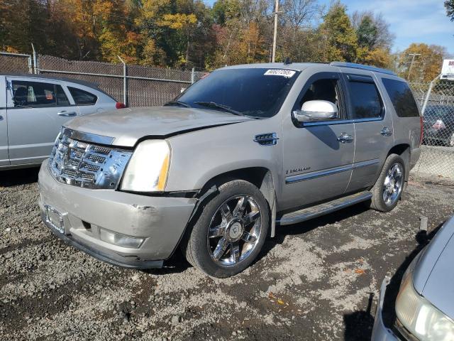 2009 CADILLAC ESCALADE, 