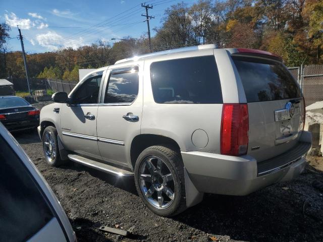 1GYFK13239R244204 - 2009 CADILLAC ESCALADE ვერცხლისფერი ფოტო 2