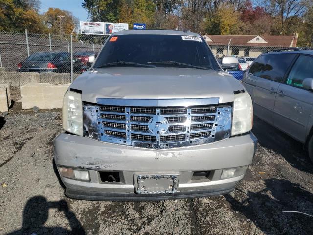 1GYFK13239R244204 - 2009 CADILLAC ESCALADE ვერცხლისფერი ფოტო 5