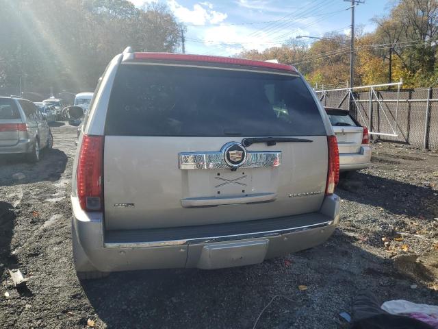 1GYFK13239R244204 - 2009 CADILLAC ESCALADE ვერცხლისფერი ფოტო 6