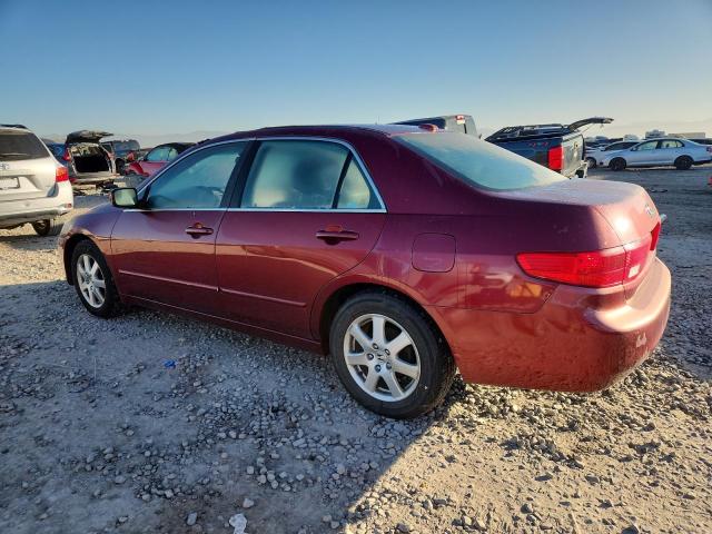 1HGCM66545A073432 - 2005 HONDA ACCORD EX BURGUNDY photo 2