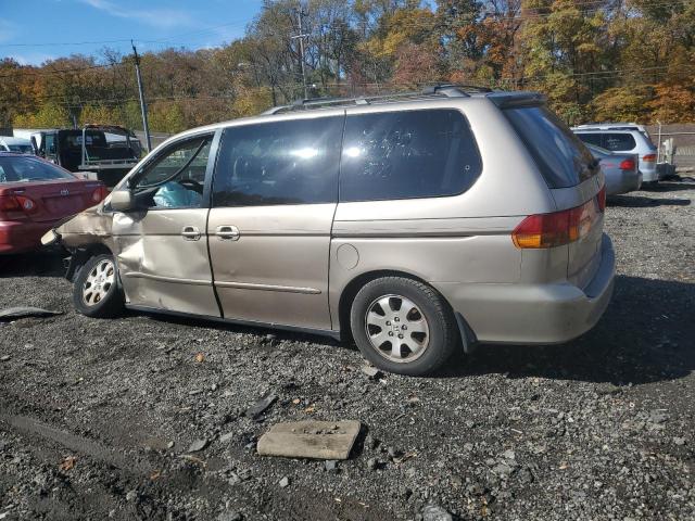 5FNRL18944B107048 - 2004 HONDA ODYSSEY EXL GOLD photo 2