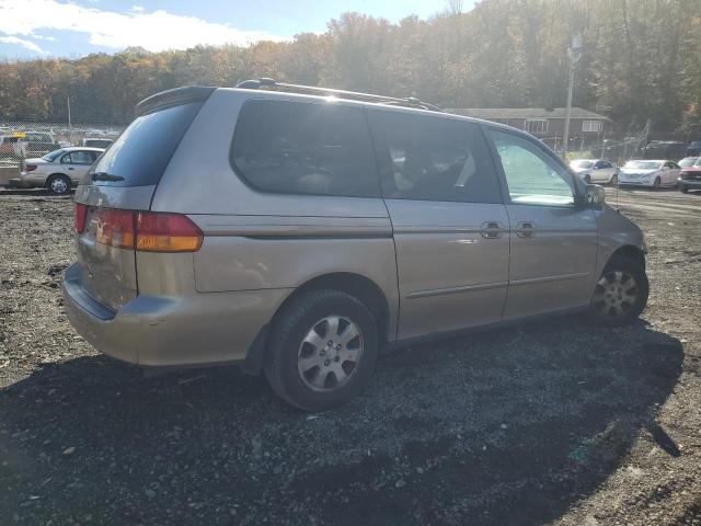 5FNRL18944B107048 - 2004 HONDA ODYSSEY EXL GOLD photo 3