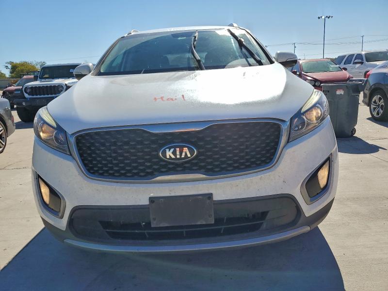 5XYPH4A57HG222274 - 2017 KIA SORENTO EX Ağ foto 5