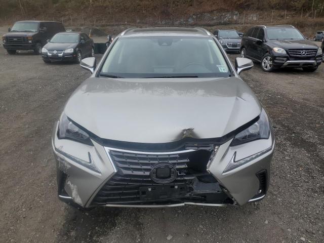 JTJDARDZ5M2253544 - 2021 LEXUS NX 300 BASE Grau Foto 5
