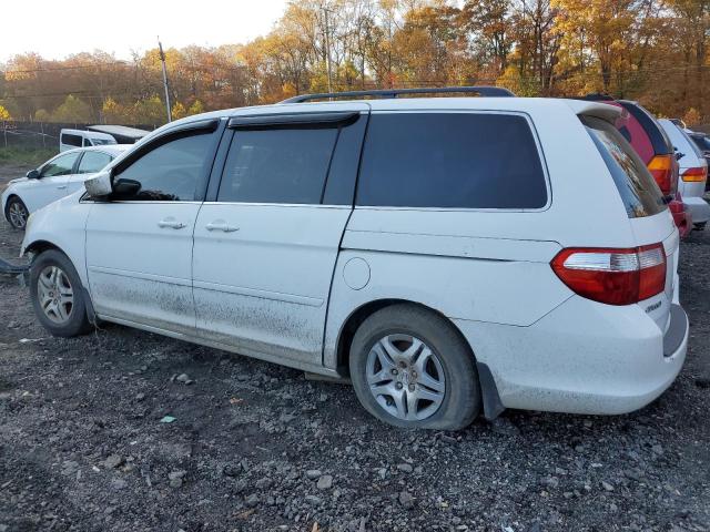 5FNRL38787B447916 - 2007 HONDA ODYSSEY EXL Ağ foto 2