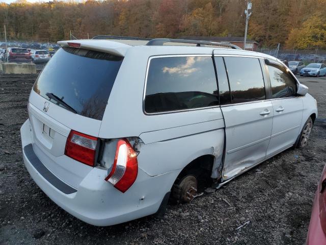 5FNRL38787B447916 - 2007 HONDA ODYSSEY EXL Ağ foto 3