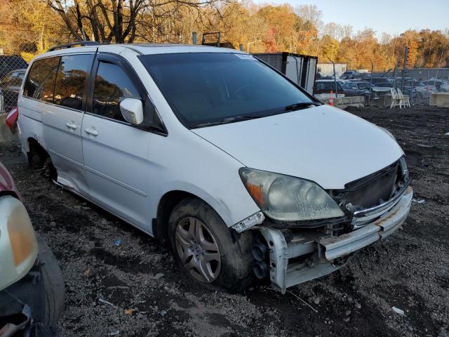 5FNRL38787B447916 - 2007 HONDA ODYSSEY EXL Ağ foto 4