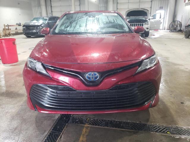 4T1B31HK1KU509646 - 2019 TOYOTA CAMRY LE BURGUNDY photo 5