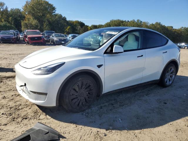 2024 TESLA MODEL Y, 
