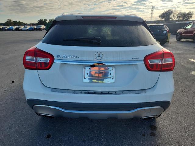 WDCTG4EB5JJ483422 - 2018 MERCEDES-BENZ GLA 250 白色 照片 6