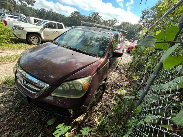 5FNRL38447B116613 - 2007 HONDA ODYSSEY EX PURPLE photo 2