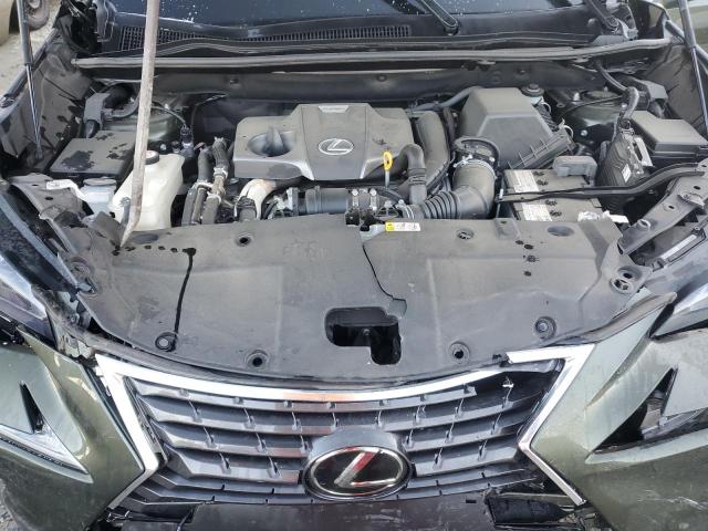 JTJGARBZ6M2199722 - 2021 LEXUS NX 300 BASE Կանաչ լուսանկար 12