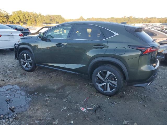 JTJGARBZ6M2199722 - 2021 LEXUS NX 300 BASE Կանաչ լուսանկար 2