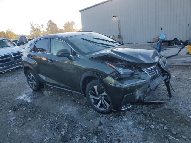 JTJGARBZ6M2199722 - 2021 LEXUS NX 300 BASE Կանաչ լուսանկար 4