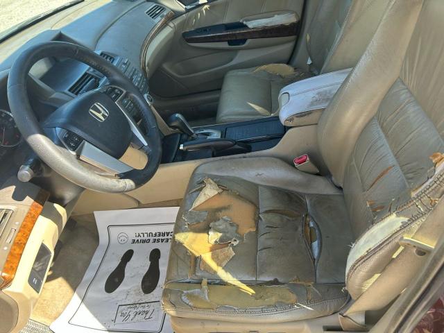 1HGCP26898A085168 - 2008 HONDA ACCORD EXL RED photo 13