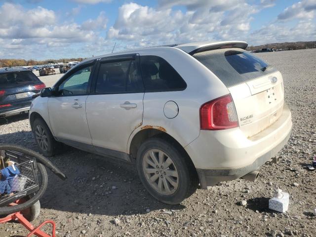 2FMDK4JC8CBA64264 - 2012 FORD EDGE SEL თეთრი ფოტო 2