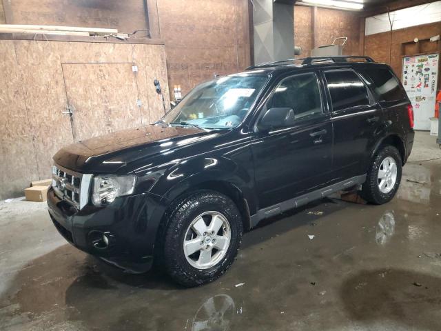 2009 FORD ESCAPE XLT, 