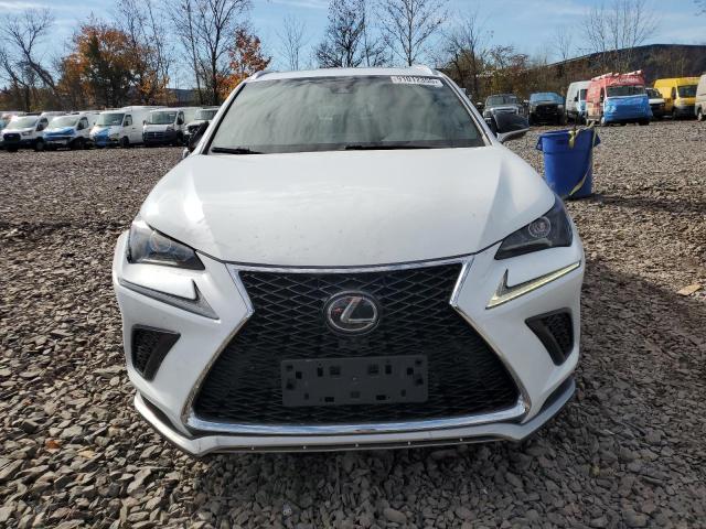 JTJBARBZXJ2166096 - 2018 LEXUS NX 300 BASE 白色 照片 5