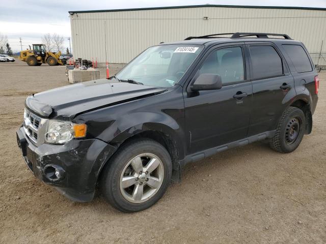 2011 FORD ESCAPE XLT, 