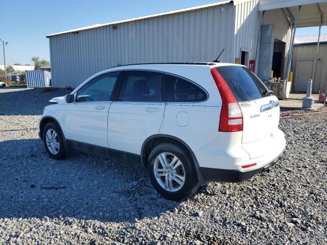 5J6RE3H71BL010981 - 2011 HONDA CR-V EXL WHITE photo 2
