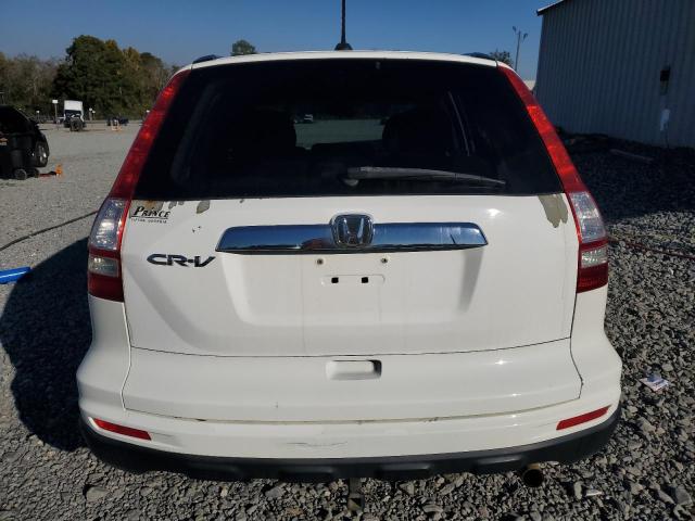5J6RE3H71BL010981 - 2011 HONDA CR-V EXL WHITE photo 6